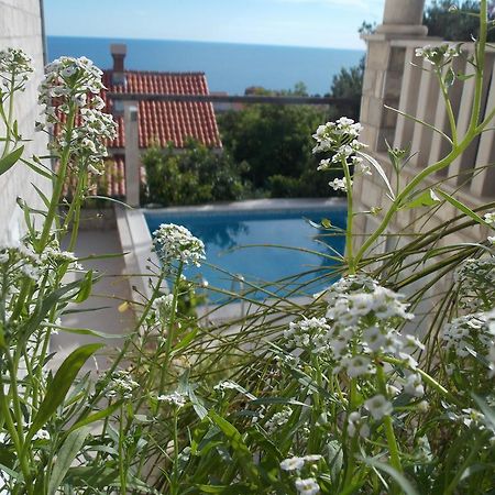 Guesthouse Villa Klaic دوبروفينك المظهر الخارجي الصورة