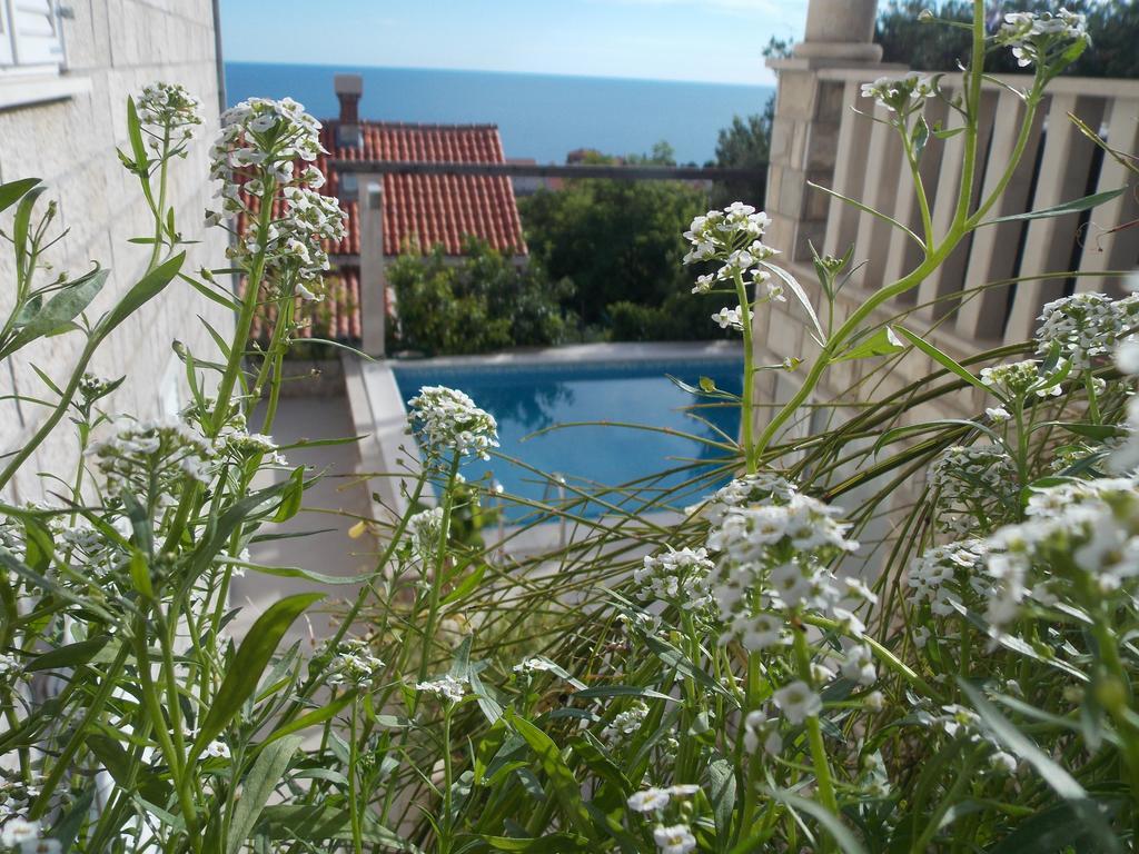 Guesthouse Villa Klaic دوبروفينك المظهر الخارجي الصورة